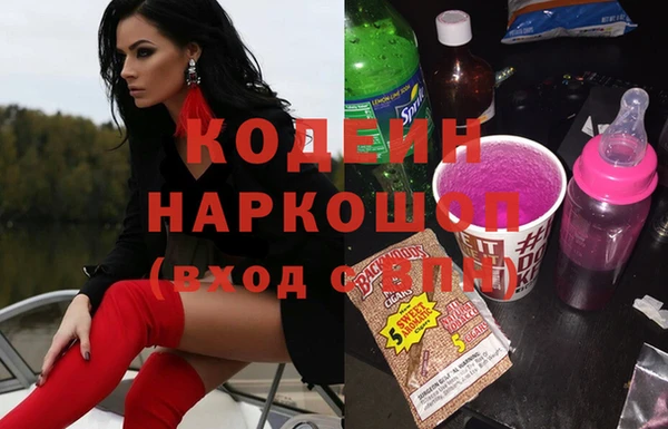 мдпв Бородино