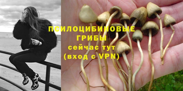 шишки Бугульма