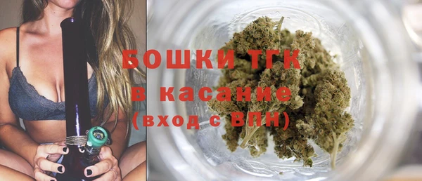 винт Богданович