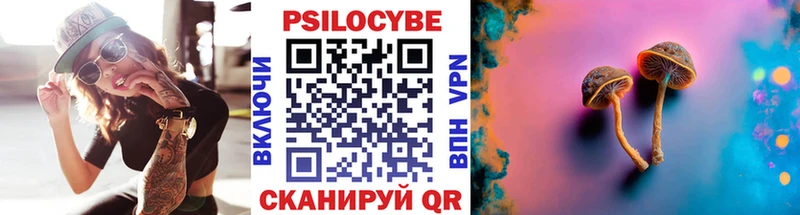 Псилоцибиновые грибы Psilocybe  наркота  hydra маркетплейс  Волгореченск 